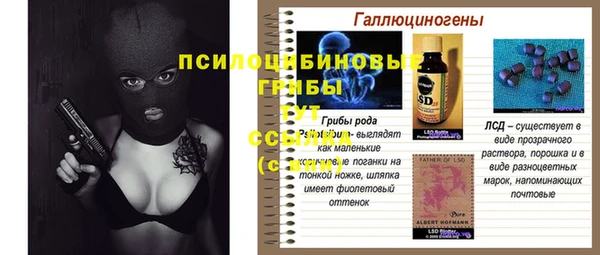 стаф Алексеевка