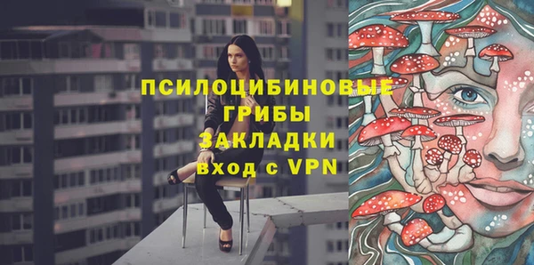 стаф Алексеевка