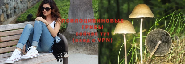 скорость Алексин