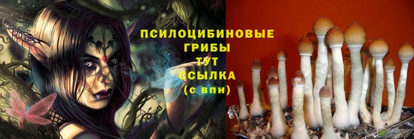 скорость Алексин