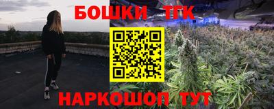 ECSTASY Гатчина