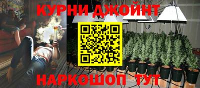 молекула духа Гагарин