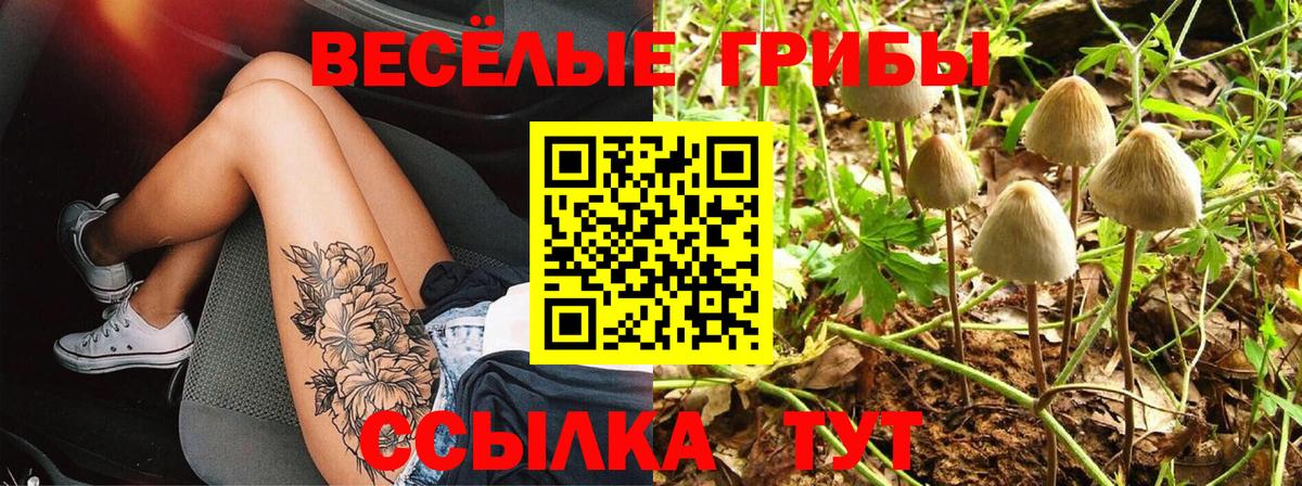 Галлюциногенные грибы Magic Shrooms Сочи